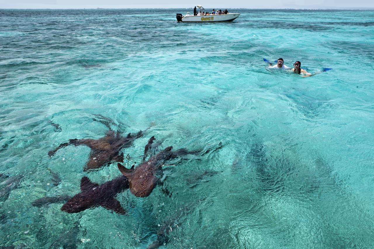 Cayo Espanto サン・ペドロ エクステリア 写真